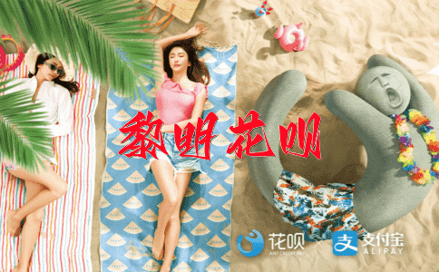 ﻿天空一鹅毛花呗